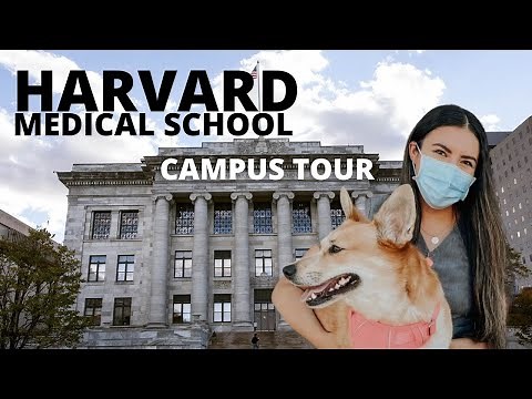 Harvard Medical School Campus Tour for Incoming Medical Students | Walk With Me Virtual Visit