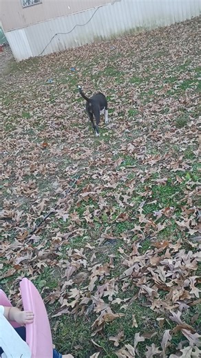 Samantha Conn on Reels