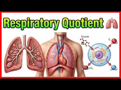 Respiratory Quotient (RQ) 🫁⚡ | Metabolic Significance & Substrate Utilization | USMLE Step 1