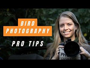 Bird Photography : Pro Tips & Tricks