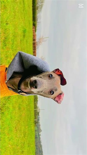 Use headphones itl sound good