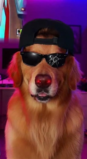 Doggy locked into demon mode #funny #viral #memes #edit #brainrot #cute #animals #indianabones