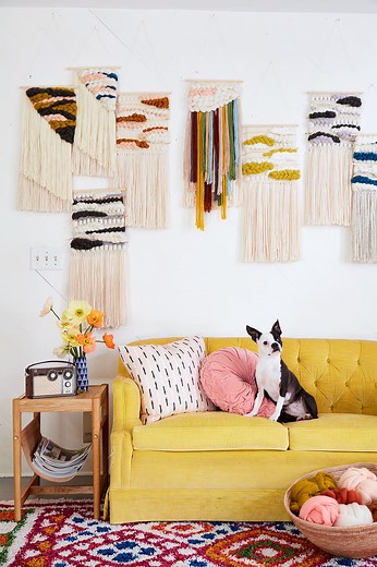 The 5 Best Ways to Remove Pet Hair from a Couch