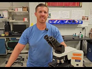 Olympus BX Repair Tips: The 4 Most Common Fixes