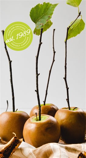 Happy Halloween! This plant-based caramel is heavenly, and won’t give you a sugar high! It makes the perfect rich coating for caramel apples for Halloween, and a fabulous sauce for all your caramel needs. 🍏 👻 NGREDIENTS For the caramel • ¼ cup coconut oil • ¼ cup Nuts to You Cashew or Sunflower Seed Butter • ¼ cup maple syrup • 1 tsp black strap molasses • 1 tsp vanilla extract • Pinch of salt For the apples • 5–6 medium-sized granny smith apples, or apple of choice • 5–6 sturdy sticks or stra