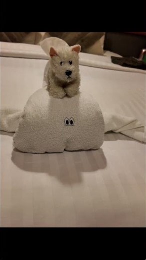Marella Discovery 2 Towel animals... The staff are great!