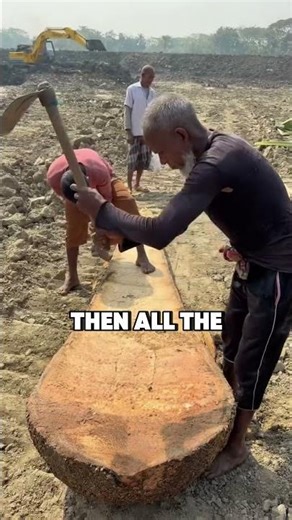From Tree to One of the Oldest Boats Ever
