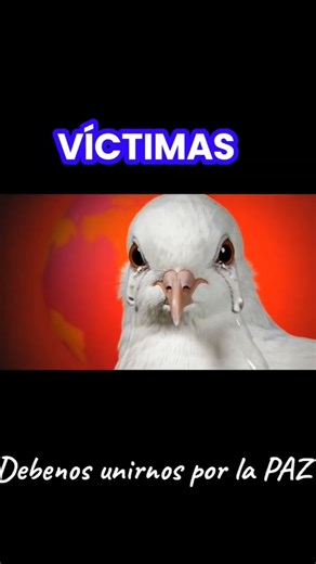 11 de noviembre de 2025