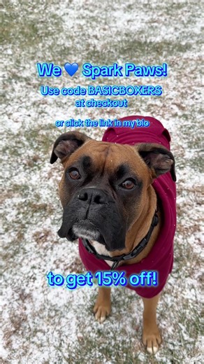 Reuben and Shelby love their @SPARK PAWS hoodies. Use code BASICBOXERS at checkout or click the link in my bio for 15% off 🥰 #sparkpaws #doghoodie #sparkpawshoodies #sparkpawsofficial #cozyhoodie