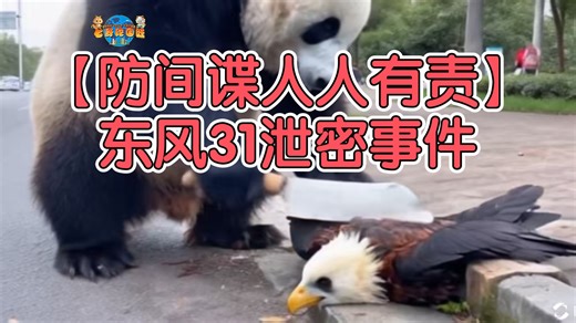 【防间谍人人有责】东风31泄密事件。