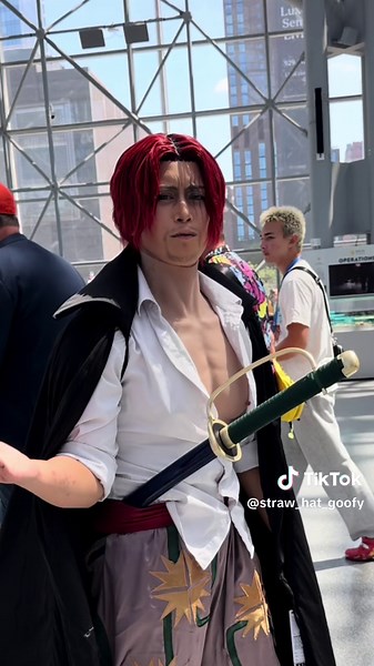 Straw Hat Goofy on TikTok