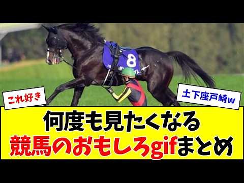 A collection of funny horse racing GIFs you'll want to watch again and again.