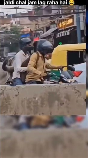 Dangerous cow hitting man 💥💥 Kolkata cow vlogs 2025