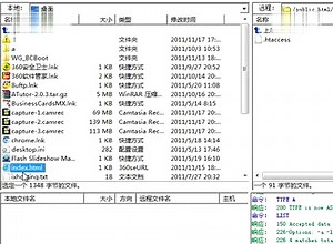 3.2 000webhost 使用指南1【变更IP地址B】