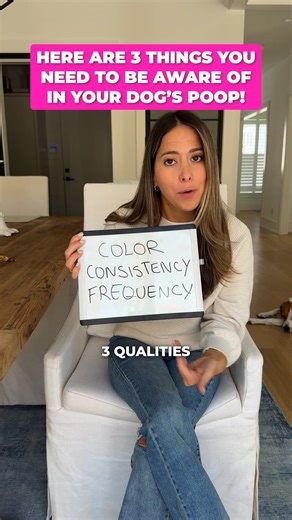 PupBiotics | Dog Health on Instagram: "Here Are 3 Things You Need To Be Aware Of In Your Dog’s Poop! Follow us to learn more on how to support your dog’s health from the inside out! #pupbiotics #doghealth #dognutrition #dogsupplement"