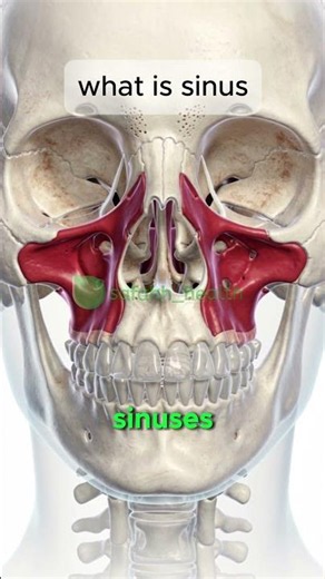 What are sinuses? #safahhhealth #sinusitis #nasalirrigation