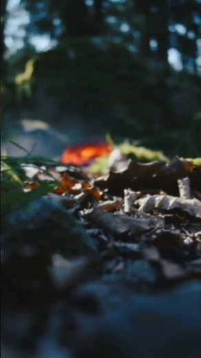 Snake Attack: Predator Vision ⚡👁️