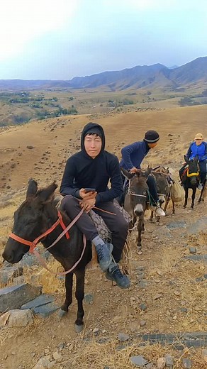 Exploring Nature: Riding Donkeys in the Mountains