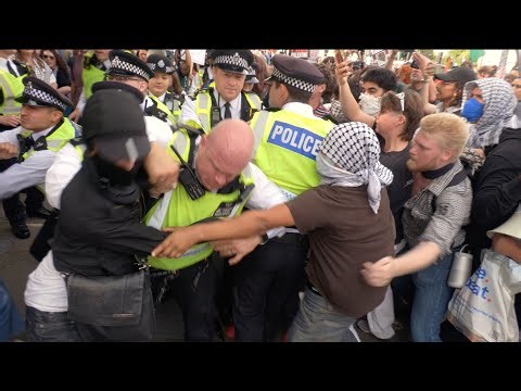 Pro-Palestine demo descends into major scuffles in London as police clash with protesters