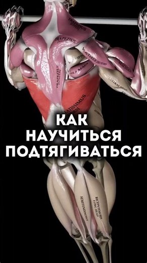 Learning to do pull-ups