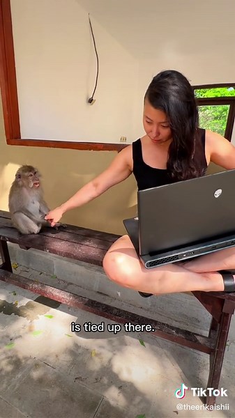 Alienware M17R5 Laptop: Bali Adventure with AMD 6000 Series Graphics