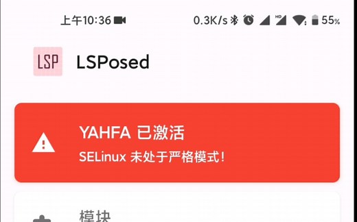 Lsp使用指南