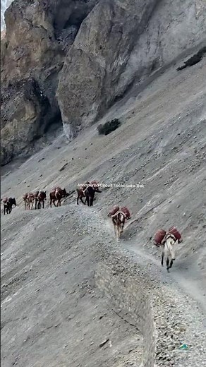 Annapurna Circuit Tilicho Lake Trek #nepal #travel #trekking #mountains