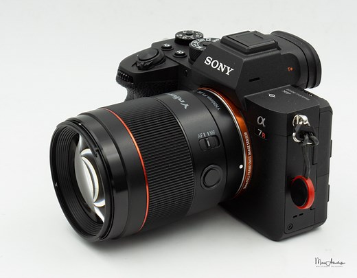 Sony Alpha Blog : Yongnuo YN85mm F1.8S DF DSM