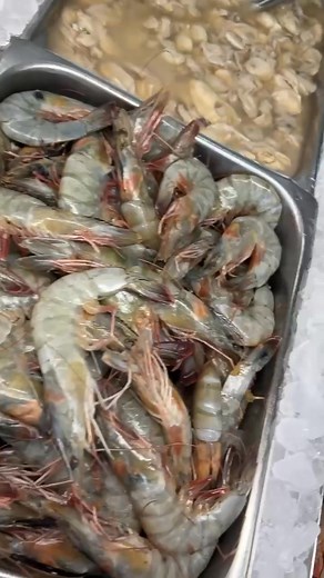 Harbor Fish Market on Reels