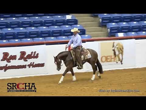 Clinton Anderson and Hulk: 2020 SRCHA Pre-Futurity Rein Work