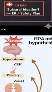 Depression isn’t weakness. It’s neurochemistry.#mentalhealth #depression #mbbslife #mbbs #shorts
