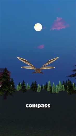 Why Moths Fly Straight Into Lights