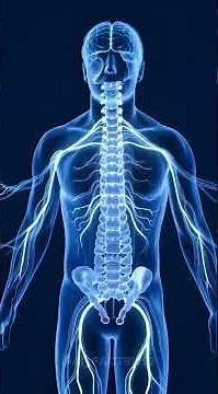 What If Electricity Passed Through Your Body? #facts #science #didyouknow #humanbody #mindblown
