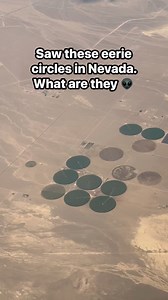 138K views · 187 reactions | Seems peculiar #reels #travel #funny #aliens | Playing with Food | Facebook