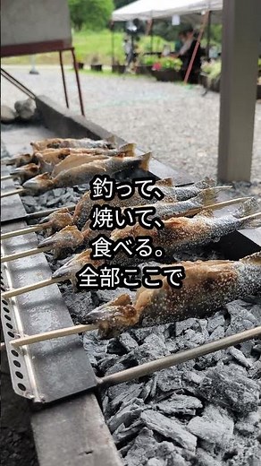 この魚ばかり釣れるのは、ここだけです｜愛知・新城の鳳来鱒 #リバーベース塩瀬 #管理釣り場 #キャンプ場