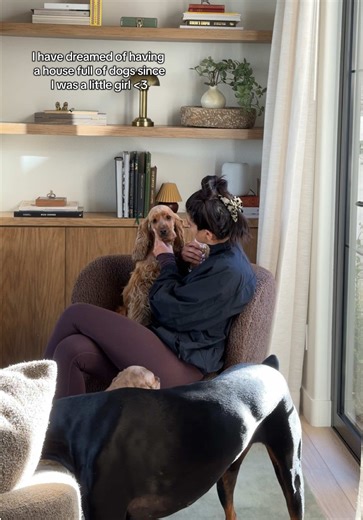 Creating a Dream House Full of Dogs