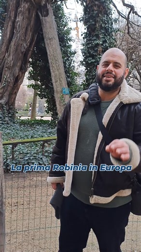 Stefano Ravaioli | 🌿Sicuramente conoscete la Robinia pseudoacacia, grande protagonista delle nostre campagne. 🌱Bene, a Parigi, in Square René Viviani (vicino... | Instagram