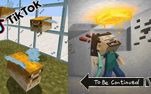 TIK TOK + MINECRAFT MEMES COMPILATION...[#136]【搬运】