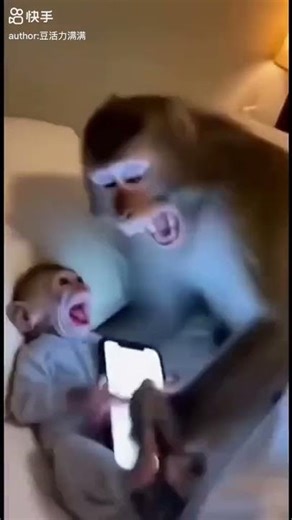 The Best Monkey Jump Scare Prank! 😂 #monkey #funnymonkey #monkeyprank