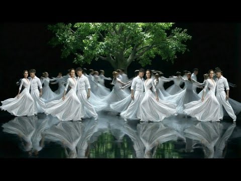 You, My Tree – A Dancing Poem