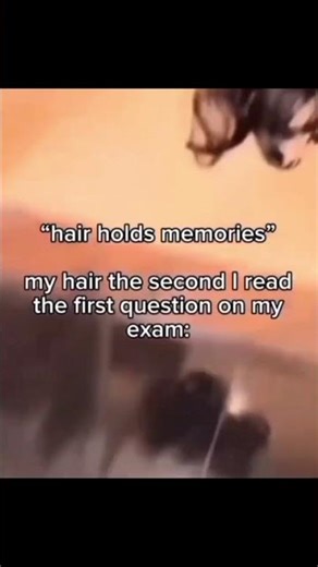 #funny #memes #relatable #hair #exam #schoolmemes