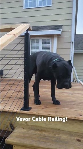 VEVOR DIY CABLE RAILING! Affordable and easy project. #vevor