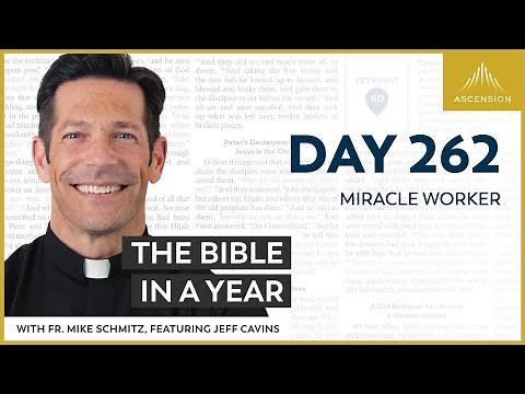Day 262: Miracle Worker — The Bible in a Year (with Fr. Mike Schmitz)