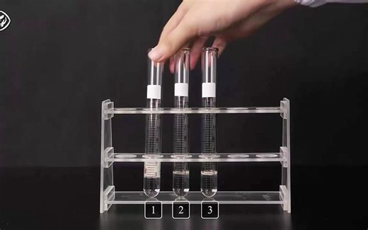 5.1.3探究pH对过氧化氢酶活性的影响H2O2活性因素