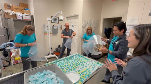 43 reactions · 10 comments | This week was Vet Tech Week. We have...