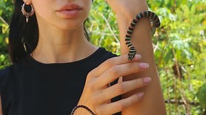 clip-1013303657-flying-snake-paradise-tree-latin-chrysopelea-paradisi