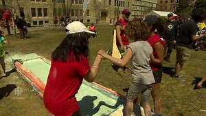 Oobleck runs behave both as solid and liquid