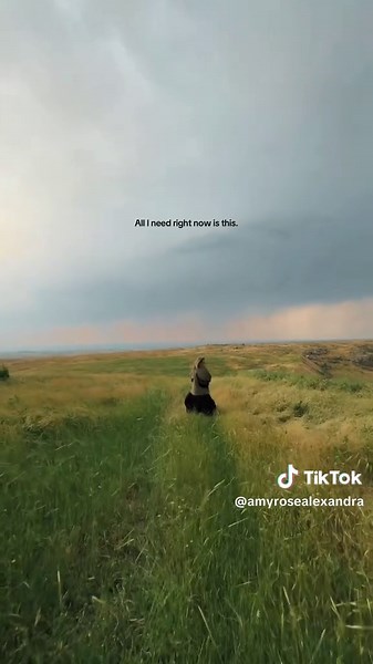 Amy-Rose (@amyrosealexandra)’s videos with original sound - ⱼₐcₒb🇵🇱