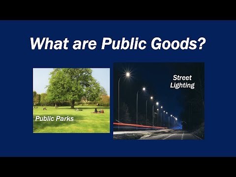 What are Public Goods?