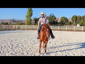 The Principles of Training: Isolate, Separate, and Recombine